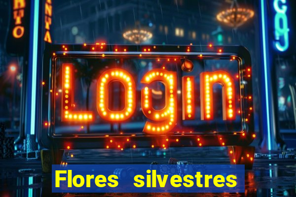 Flores silvestres brasileiras brasileiras flores silvestres nomes e imagens